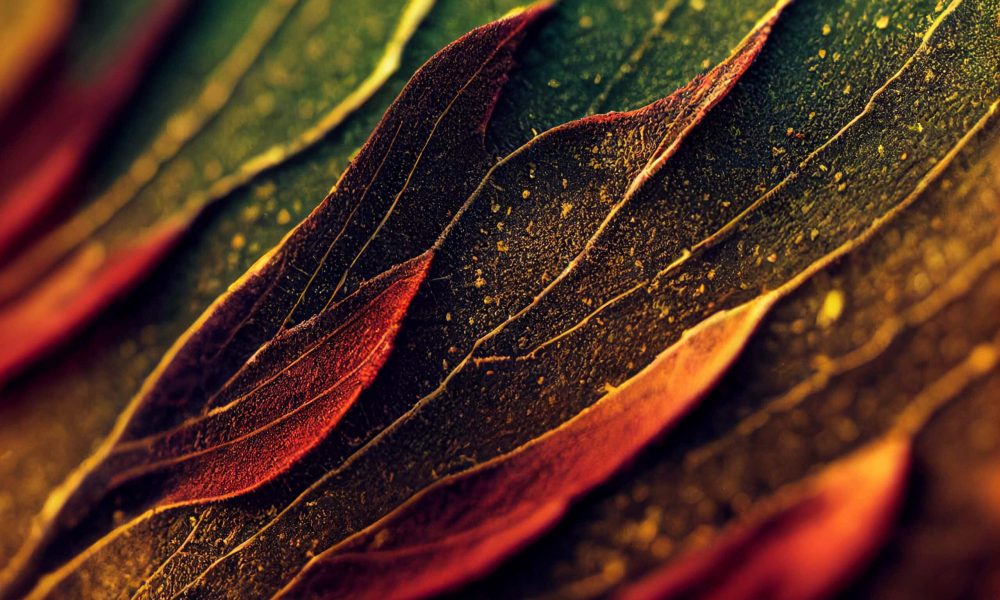 Super detailed colorful waves background, copy space banner,conceptual photography of macro elements