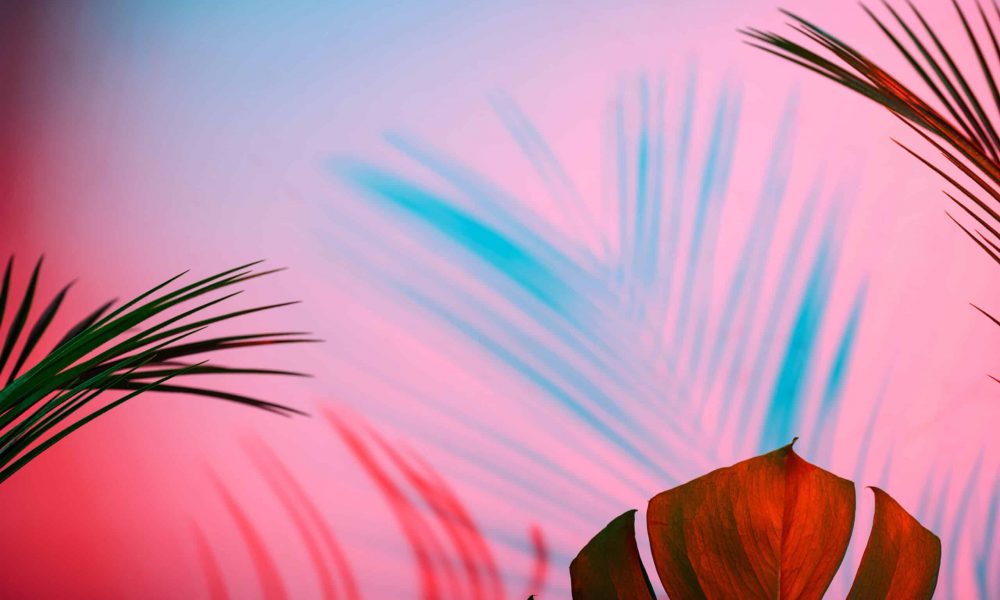 Tropical leaves in neon light with blurred unfocused duotone color shadows